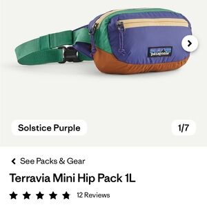 Patagonia mini belt bag